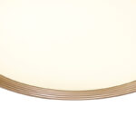 Lámpara Led Para Techo Pika 60W Blanco - DSC - Imagen 3