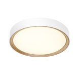 Lámpara Led Para Techo Pika 60W Blanco - DSC