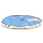 Tira LED 24V SMD Ziadna IP20 10W/m - 10 Metros