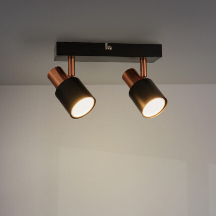 Lámpara de Techo Serie Gold 2 Focos GU10