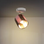 Lámpara de Techo Serie Camp 1 Focos E14