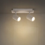 Aplique de Techo GU10 Orientable State 2 Focos - DSC